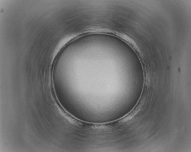 X0000074331231200609082024