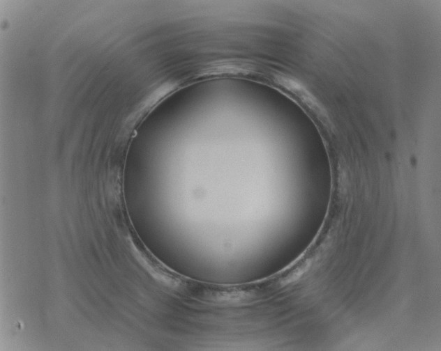 X0000074331233200609082024