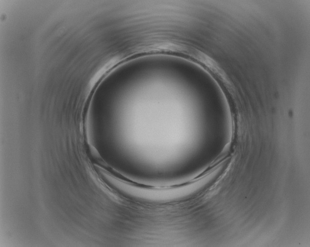 X0000074331234200609082024