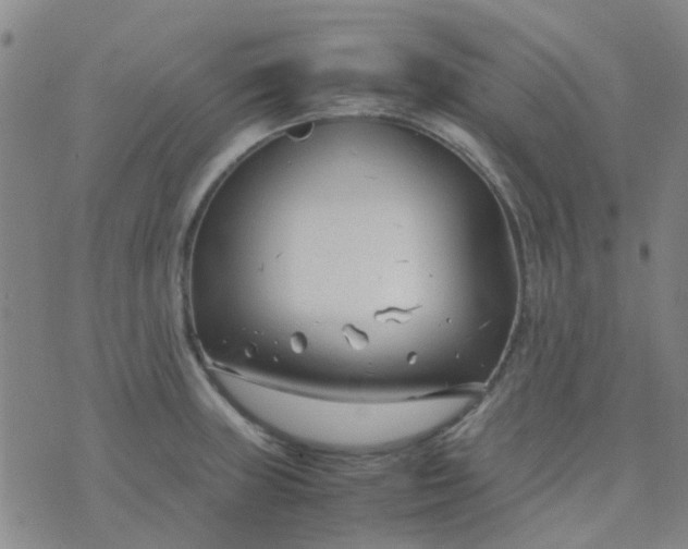 X0000074331235200609082024