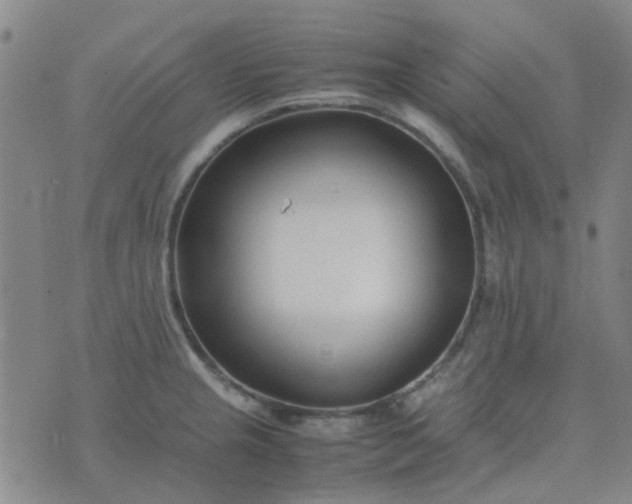 X0000074331237200609082024