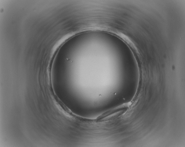 X0000074331238200609082024