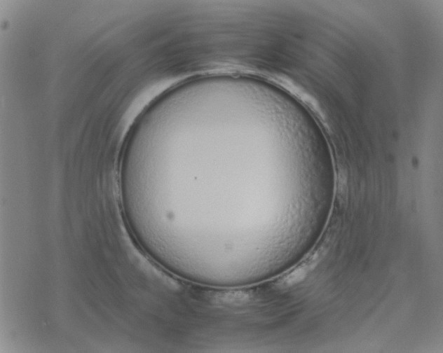 X0000074331239200609082024