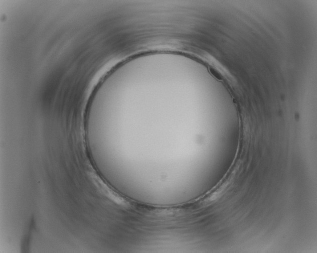 X0000074331240200609082024