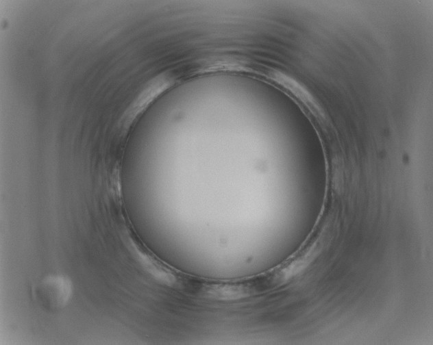 X0000074331241200609082024