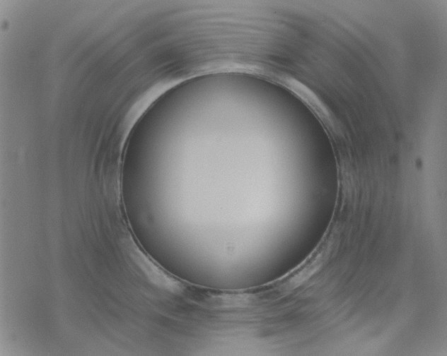 X0000074331244200609082024