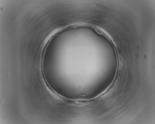 X0000074331245200609082024