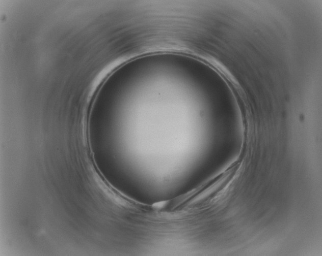 X0000074331246200609082024