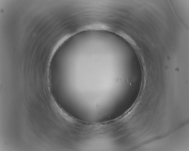 X0000074331248200609082024