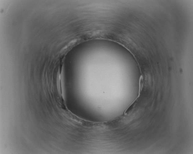 X0000074331250200609082023