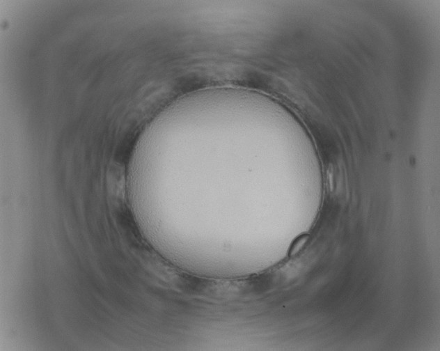 X0000074331251200609082023