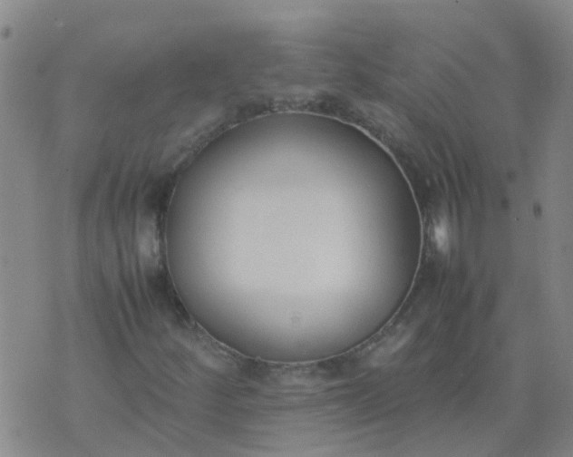 X0000074331252200609082023