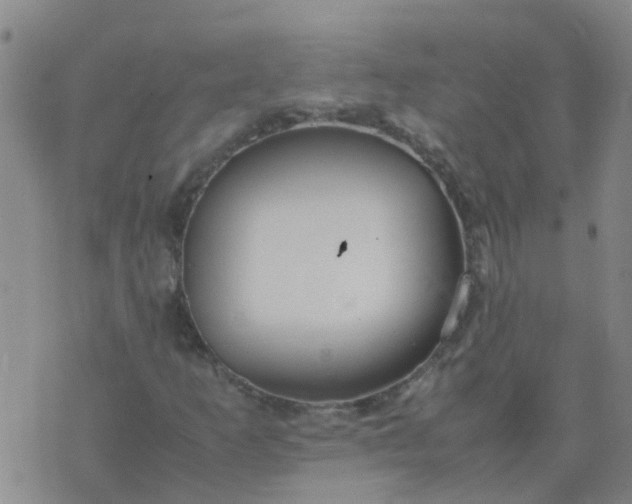 X0000074331253200609082023