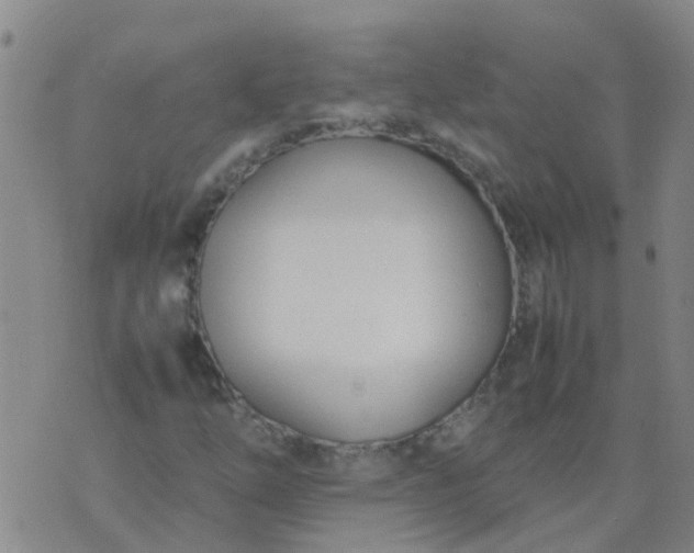 X0000074331254200609082023