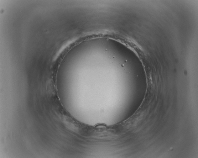 X0000074331256200609082023