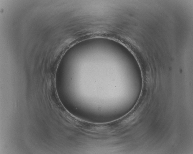 X0000074331257200609082023