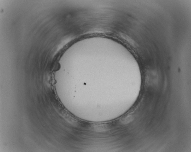 X0000074331258200609082023