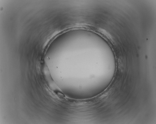 X0000074331260200609082023