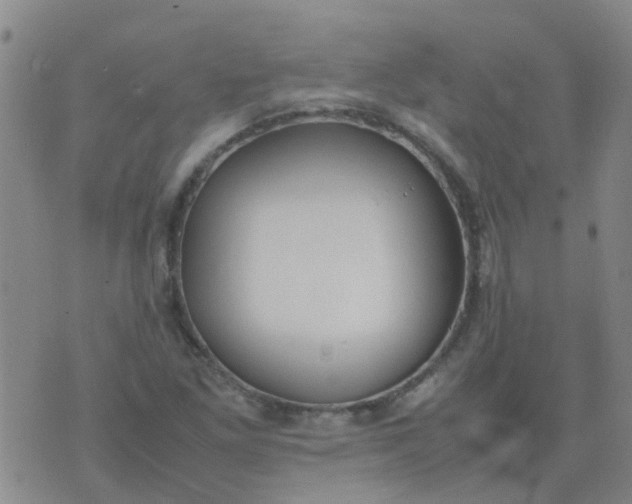 X0000074331261200609082023