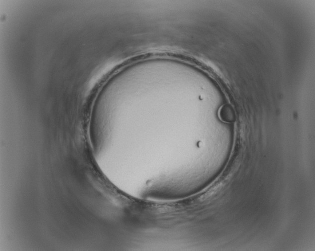 X0000074331263200609082023