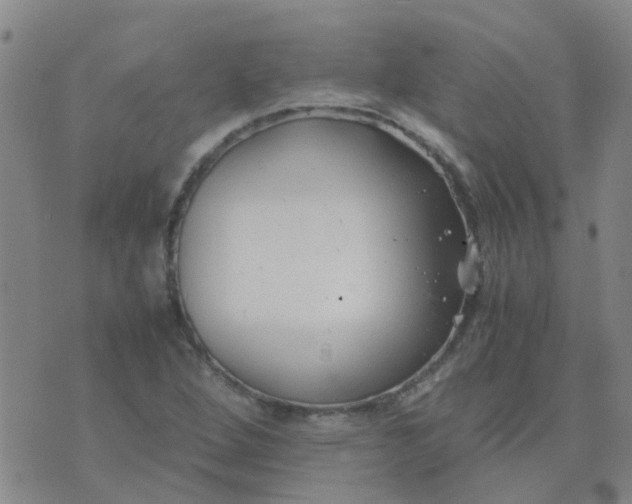 X0000074331264200609082023