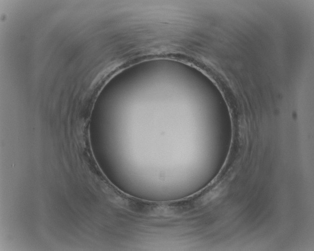 X0000074331265200609082023