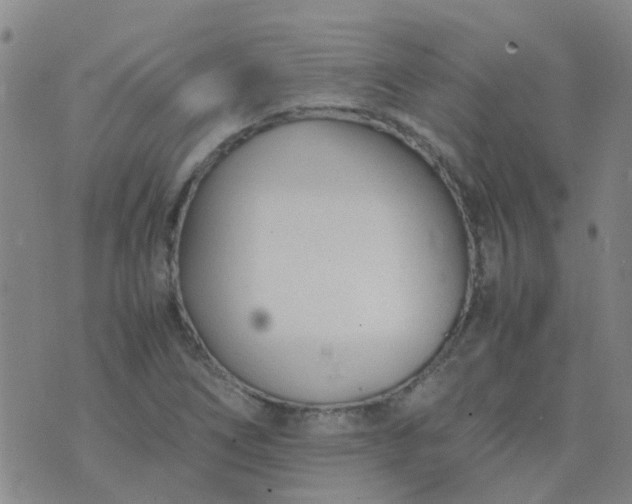 X0000074331266200609082023