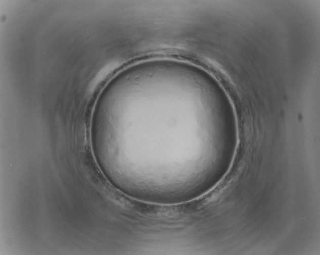 X0000074331267200609082023