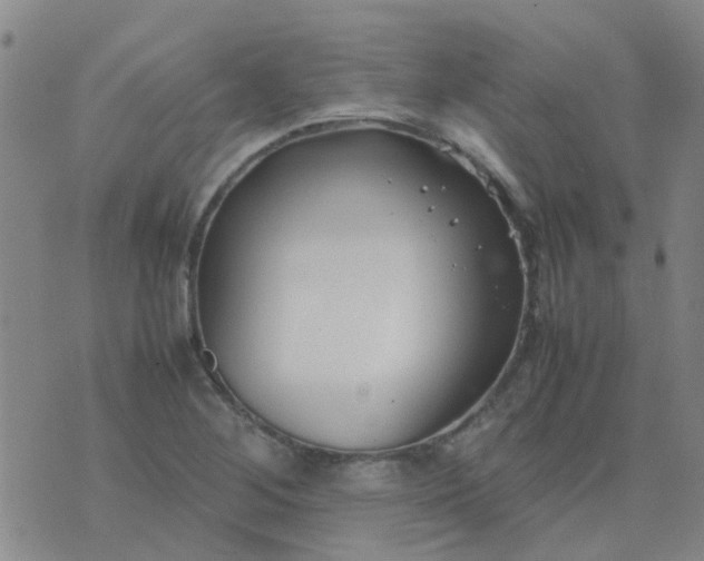 X0000074331268200609082023