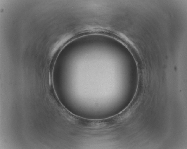 X0000074331269200609082023