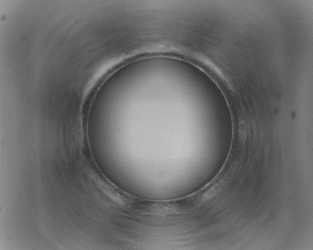 X0000074331270200609082023