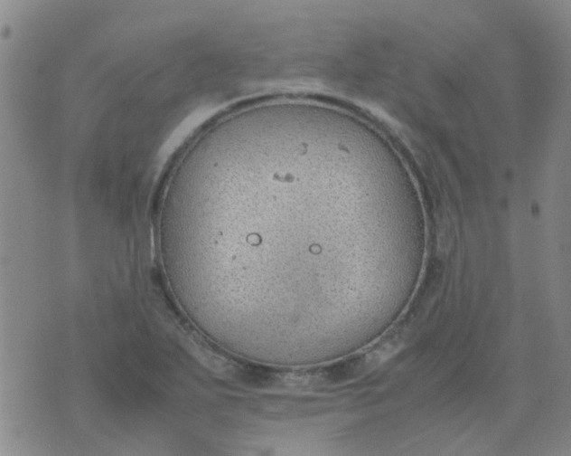 X0000074331271200609082023