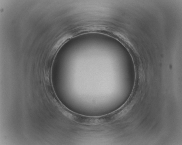 X0000074331273200609082023