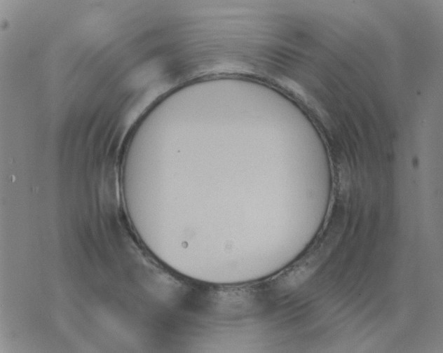 X0000074331274200609082023