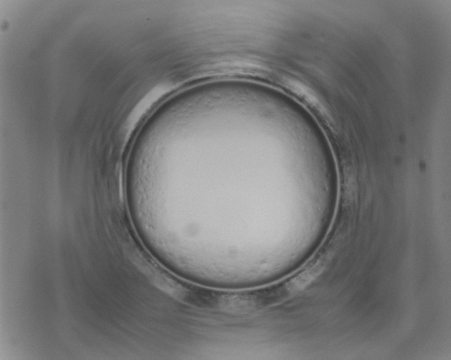 X0000074331275200609082023