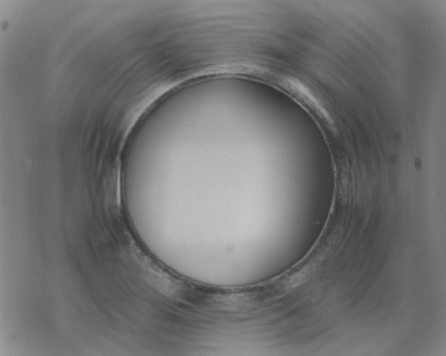 X0000074331276200609082023