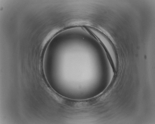 X0000074331277200609082023