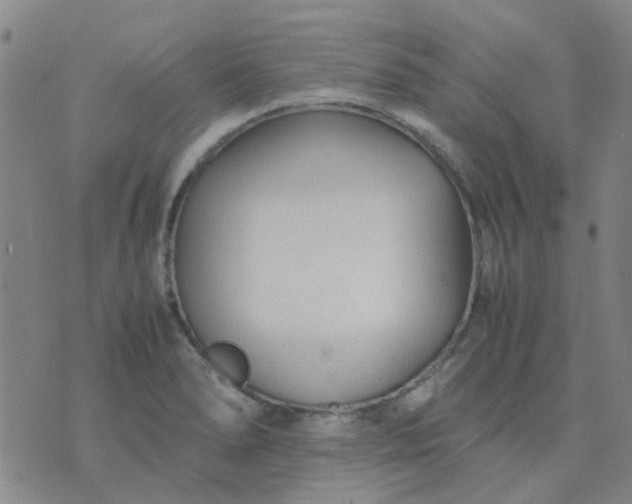 X0000074331278200609082023