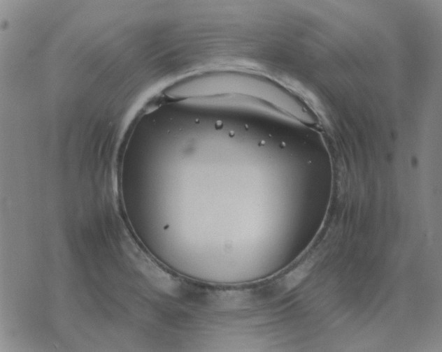 X0000074331280200609082023