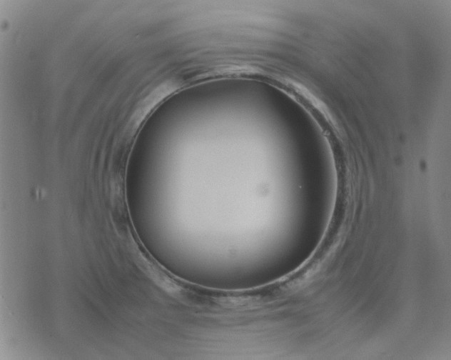 X0000074331281200609082023