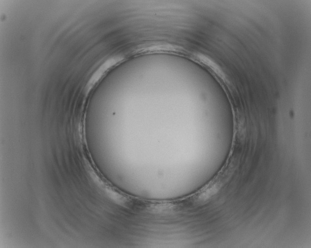 X0000074331282200609082023