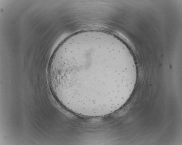 X0000074331283200609082023