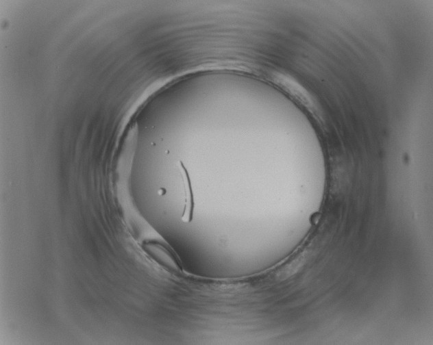 X0000074331284200609082023