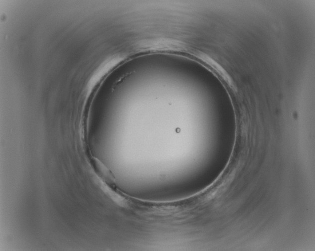 X0000074331285200609082023