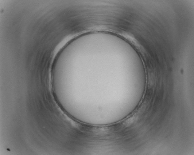 X0000074331286200609082023