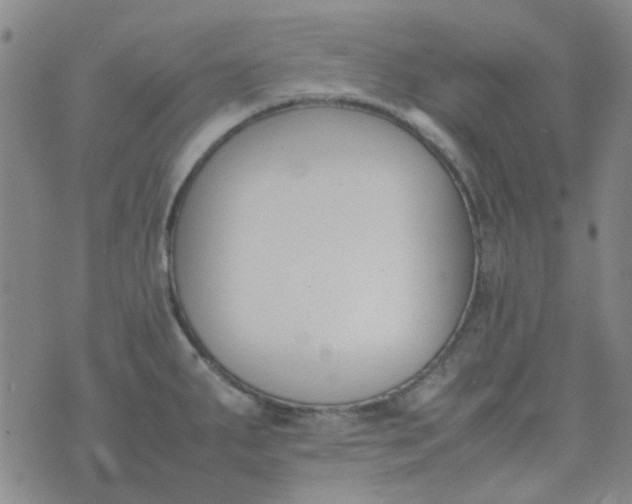 X0000074331287200609082023