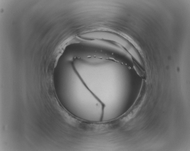 X0000074331289200609082023