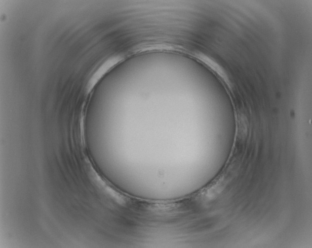 X0000074331290200609082023