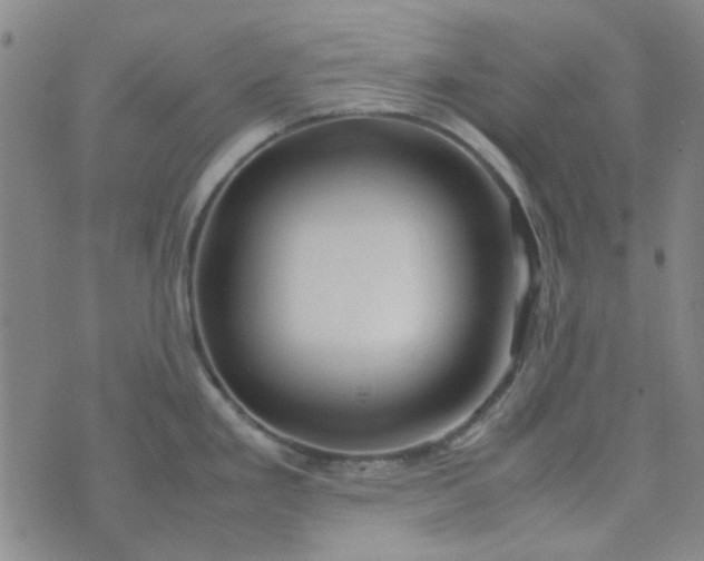 X0000074331293200609082023