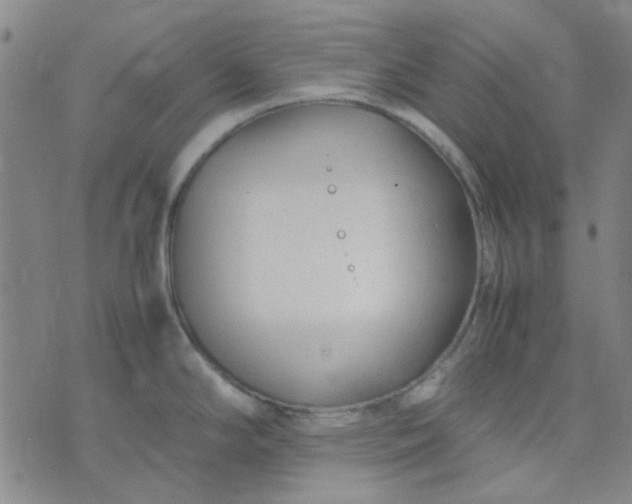 X0000074331294200609082023